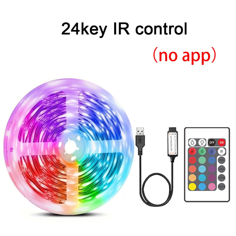 RGB LED Strip Lights Music Sync USB 5V Remote Control Led Ribbon Flexible Lamp For Room Party TV Desk Bedroom Decoration